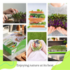 Microgreens Deluxe Kit